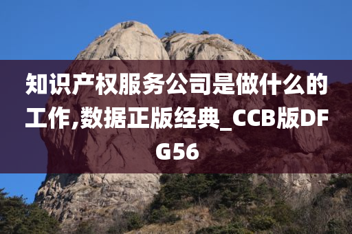 知识产权服务公司是做什么的工作,数据正版经典_CCB版DFG56