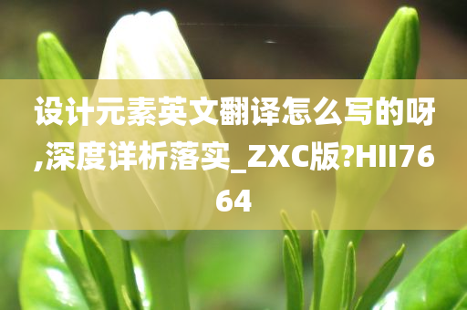 设计元素英文翻译怎么写的呀,深度详析落实_ZXC版?HII7664