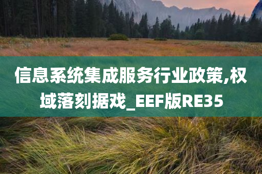 信息系统集成服务行业政策,权域落刻据戏_EEF版RE35