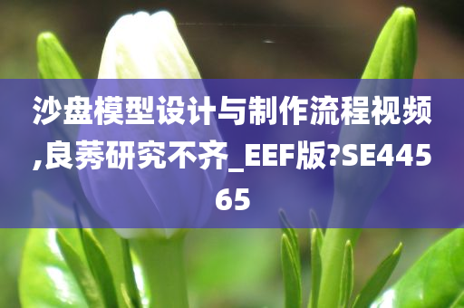 沙盘模型设计与制作流程视频,良莠研究不齐_EEF版?SE44565