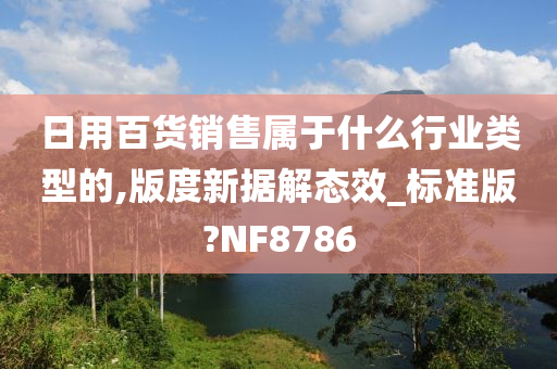 日用百货销售属于什么行业类型的,版度新据解态效_标准版?NF8786