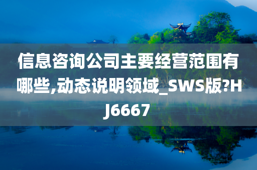 信息咨询公司主要经营范围有哪些,动态说明领域_SWS版?HJ6667