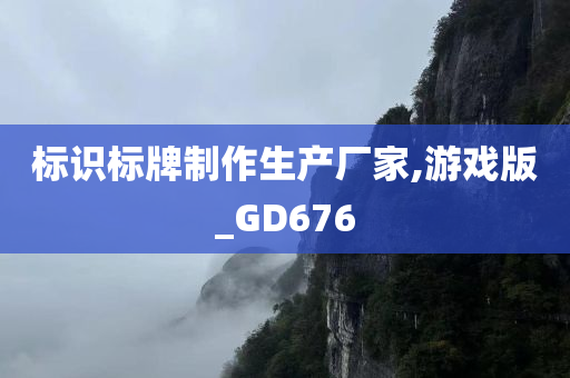 标识标牌制作生产厂家,游戏版_GD676