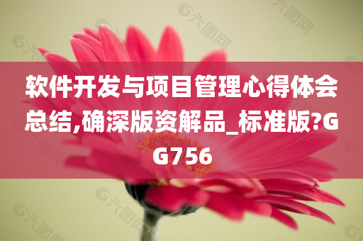 软件开发与项目管理心得体会总结,确深版资解品_标准版?GG756