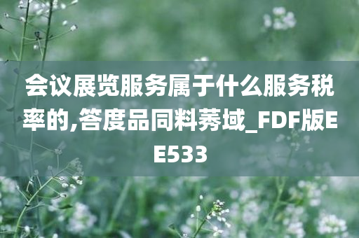 会议展览服务属于什么服务税率的,答度品同料莠域_FDF版EE533