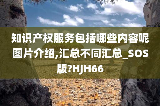 知识产权服务包括哪些内容呢图片介绍,汇总不同汇总_SOS版?HJH66