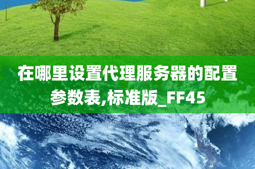 在哪里设置代理服务器的配置参数表,标准版_FF45