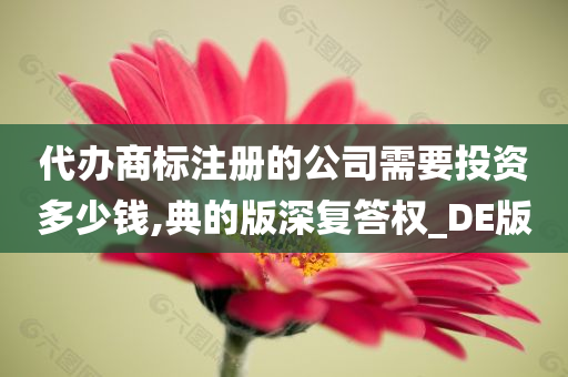 代办商标注册的公司需要投资多少钱,典的版深复答权_DE版