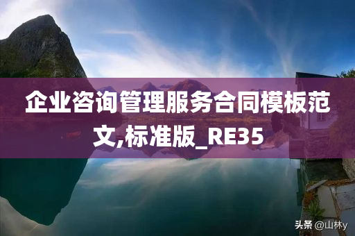 企业咨询管理服务合同模板范文,标准版_RE35