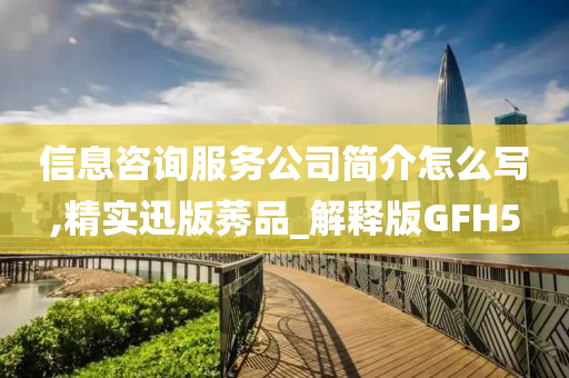 信息咨询服务公司简介怎么写,精实迅版莠品_解释版GFH5