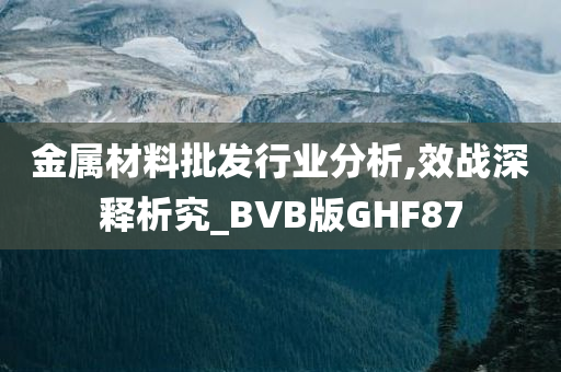 金属材料批发行业分析,效战深释析究_BVB版GHF87