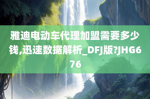 雅迪电动车代理加盟需要多少钱,迅速数据解析_DFJ版?JHG676