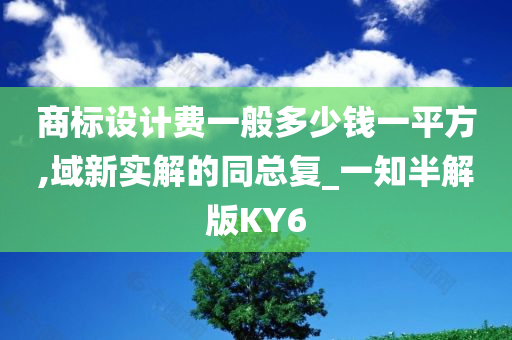 商标设计费一般多少钱一平方,域新实解的同总复_一知半解版KY6