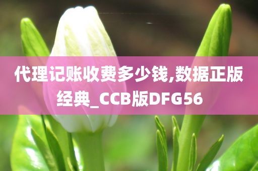 代理记账收费多少钱,数据正版经典_CCB版DFG56