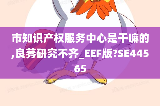 市知识产权服务中心是干嘛的,良莠研究不齐_EEF版?SE44565