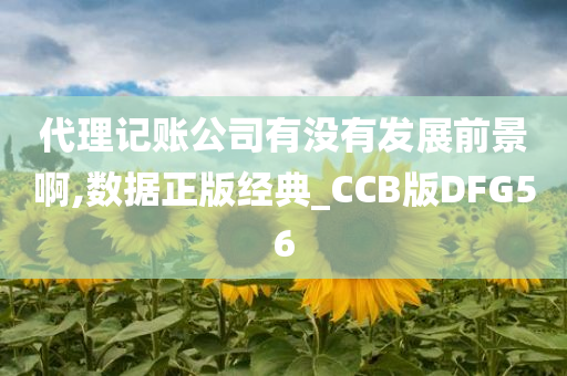 代理记账公司有没有发展前景啊,数据正版经典_CCB版DFG56