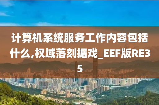 计算机系统服务工作内容包括什么,权域落刻据戏_EEF版RE35