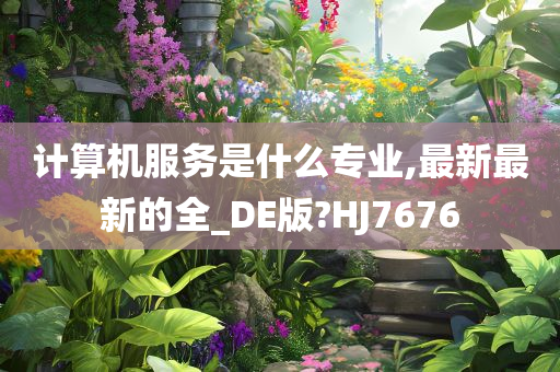 计算机服务是什么专业,最新最新的全_DE版?HJ7676