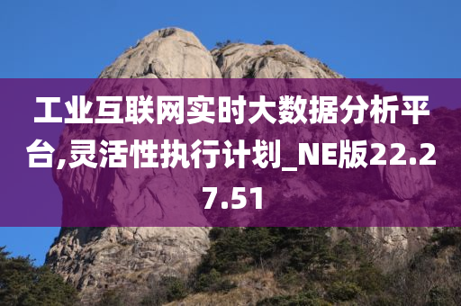 工业互联网实时大数据分析平台,灵活性执行计划_NE版22.27.51