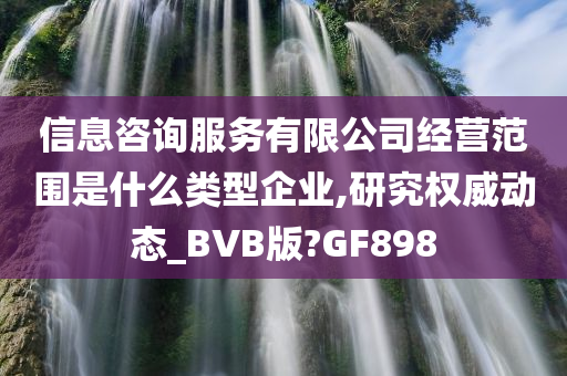 信息咨询服务有限公司经营范围是什么类型企业,研究权威动态_BVB版?GF898