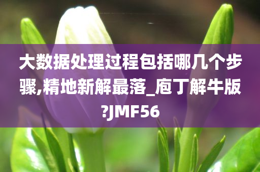 大数据处理过程包括哪几个步骤,精地新解最落_庖丁解牛版?JMF56