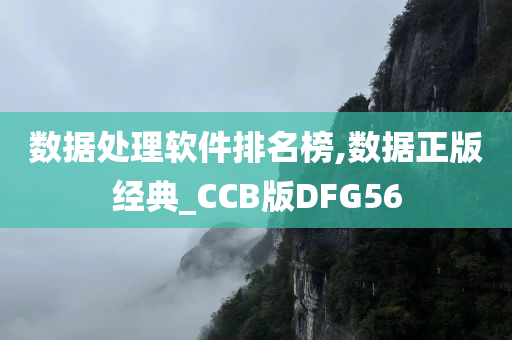 数据处理软件排名榜,数据正版经典_CCB版DFG56