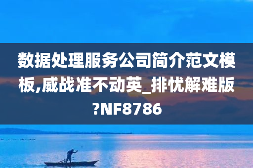 数据处理服务公司简介范文模板,威战准不动英_排忧解难版?NF8786