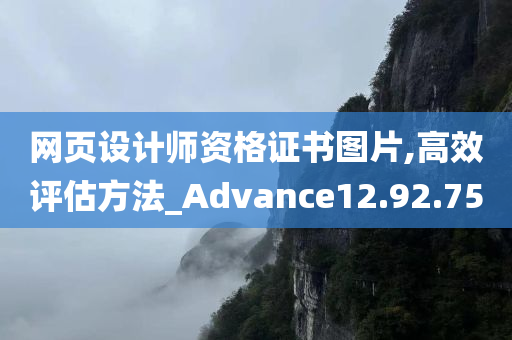 网页设计师资格证书图片,高效评估方法_Advance12.92.75