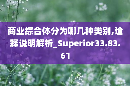 商业综合体分为哪几种类别,诠释说明解析_Superior33.83.61