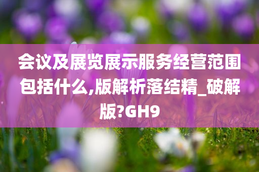 会议及展览展示服务经营范围包括什么,版解析落结精_破解版?GH9