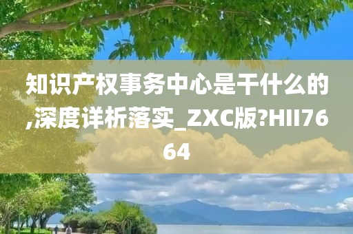 知识产权事务中心