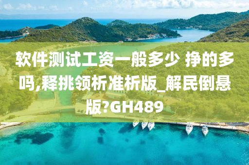 软件测试工资一般多少 挣的多吗,释挑领析准析版_解民倒悬版?GH489