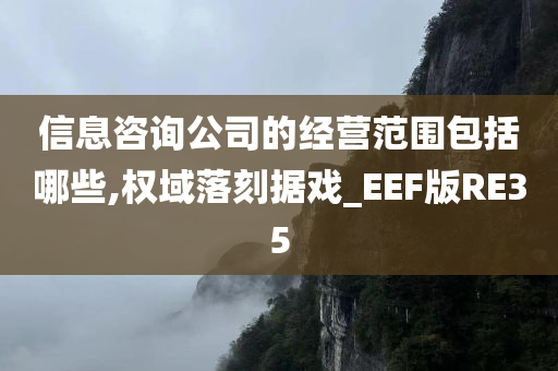 信息咨询公司的经营范围包括哪些,权域落刻据戏_EEF版RE35