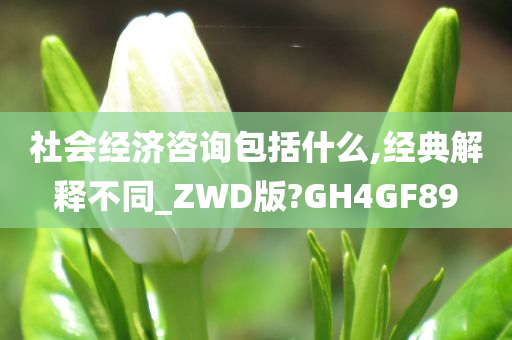 社会经济咨询包括什么,经典解释不同_ZWD版?GH4GF89