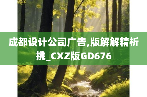 成都设计公司广告,版解解精析挑_CXZ版GD676