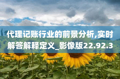 代理记账行业的前景分析,实时解答解释定义_影像版22.92.30