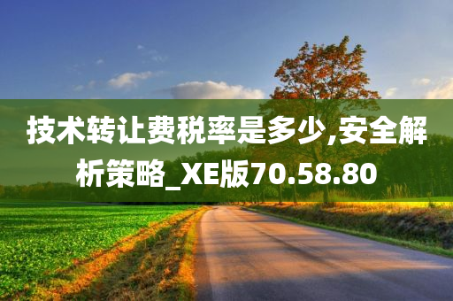 技术转让费税率是多少,安全解析策略_XE版70.58.80