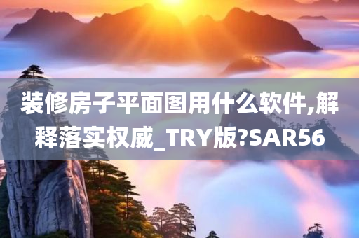 装修房子平面图用什么软件,解释落实权威_TRY版?SAR56