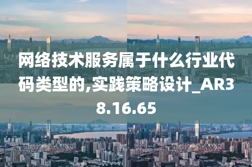 网络技术服务属于什么行业代码类型的,实践策略设计_AR38.16.65