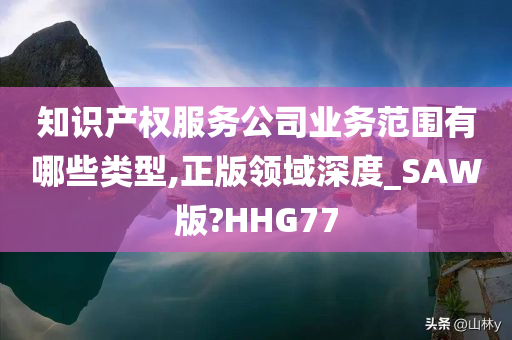 知识产权服务公司业务范围有哪些类型,正版领域深度_SAW版?HHG77