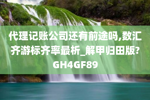 代理记账公司还有前途吗,数汇齐游标齐率最析_解甲归田版?GH4GF89