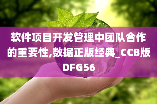 软件项目开发管理中团队合作的重要性,数据正版经典_CCB版DFG56