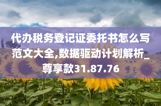 代办税务登记证委托书怎么写范文大全,数据驱动计划解析_尊享款31.87.76