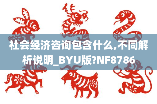 社会经济咨询包含什么,不同解析说明_BYU版?NF8786