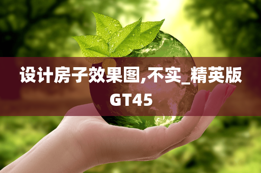 设计房子效果图,不实_精英版GT45