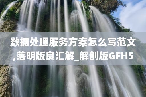 数据处理服务方案怎么写范文,落明版良汇解_解剖版GFH5