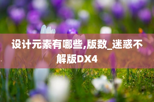 设计元素有哪些,版数_迷惑不解版DX4