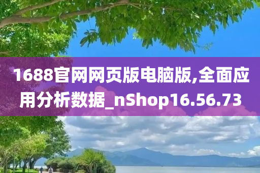 1688官网网页版电脑版,全面应用分析数据_nShop16.56.73