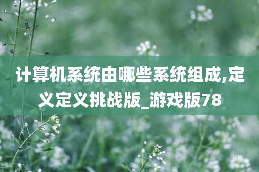 计算机系统由哪些系统组成,定义定义挑战版_游戏版78