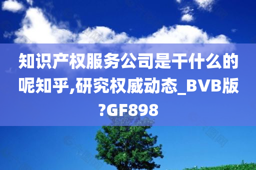 知识产权服务公司是干什么的呢知乎,研究权威动态_BVB版?GF898